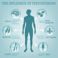 Lider du af testosteronmangel?