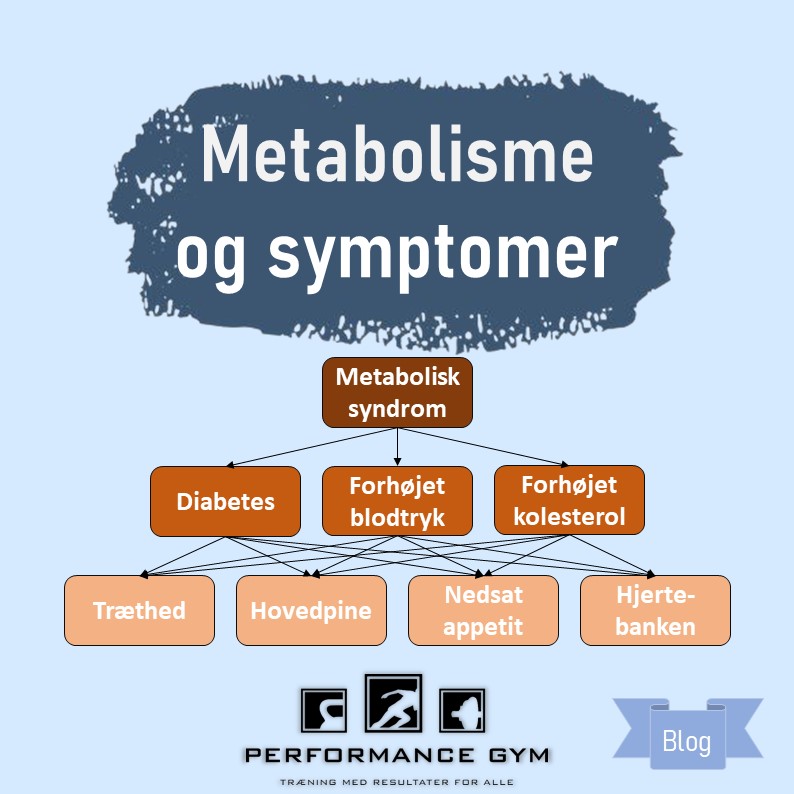 Read more about the article Metabolisk syndrom: en guide til forebyggelse